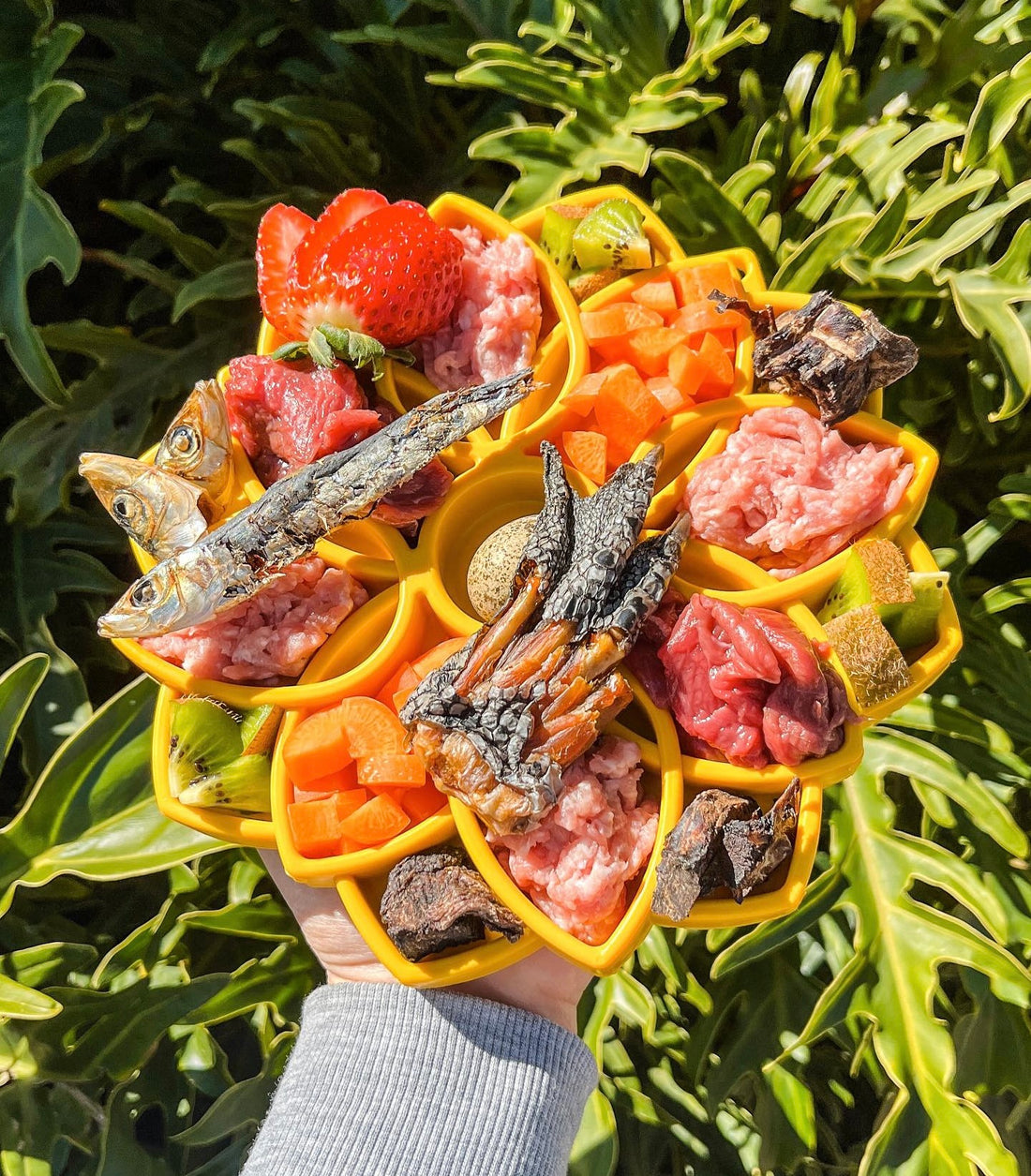 'Croc My World' Mandala Recipe