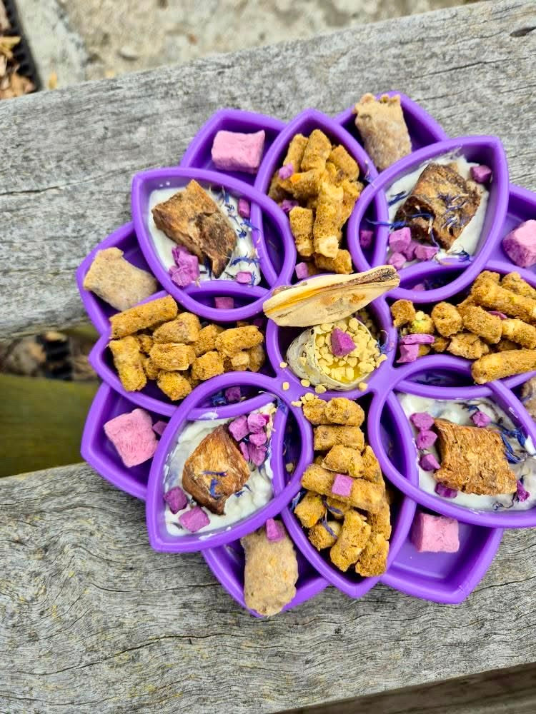 Mandala Slow Feeder eTray