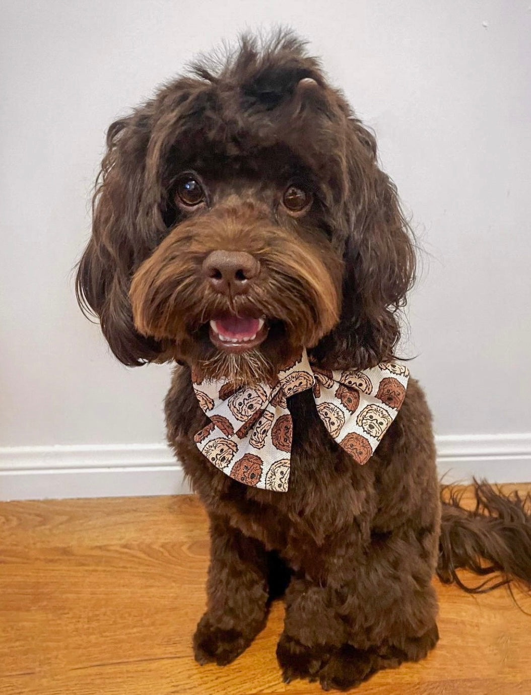Dog Breeds Sailor Bow
