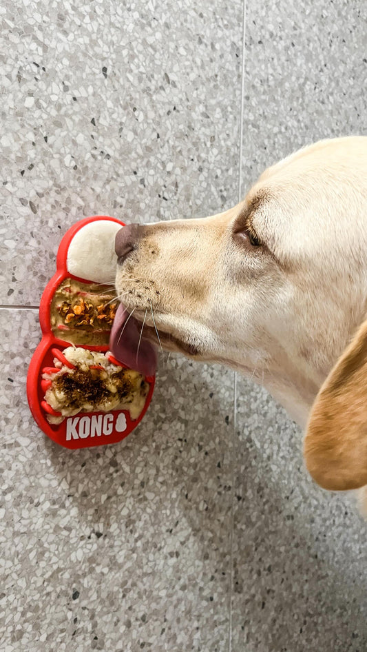 Licks Slow Feeder Lick Mat