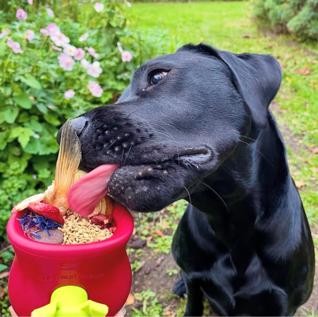 Australian Bee Pollen Granules