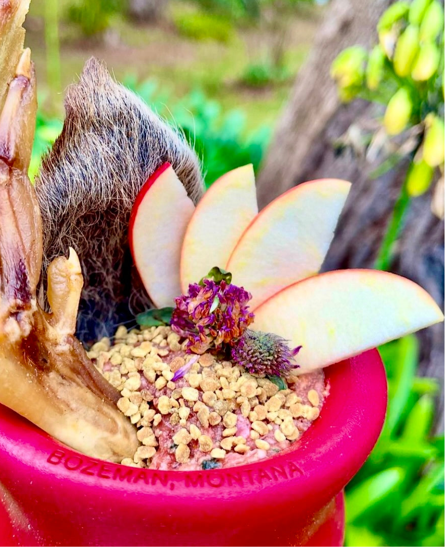 Australian Bee Pollen Granules