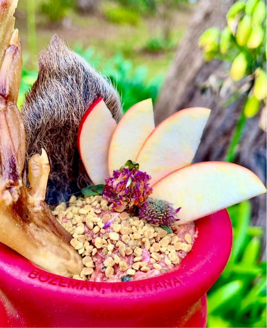 Australian Bee Pollen Granules