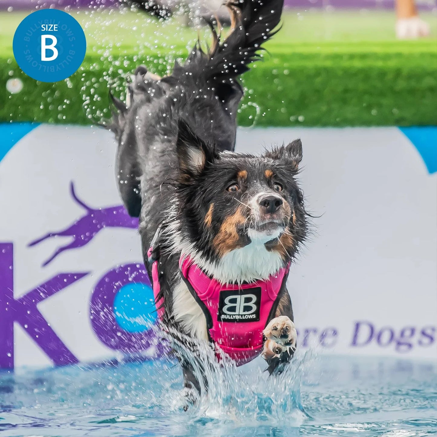 Magentas - Comfort Premium Harness | Non Restrictive