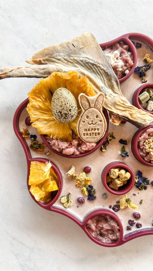 Cosmos 2-in-1 Bowl & Lick Mat