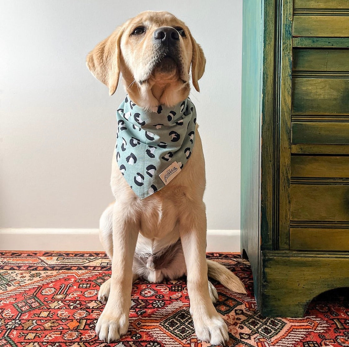 Dog Bandana