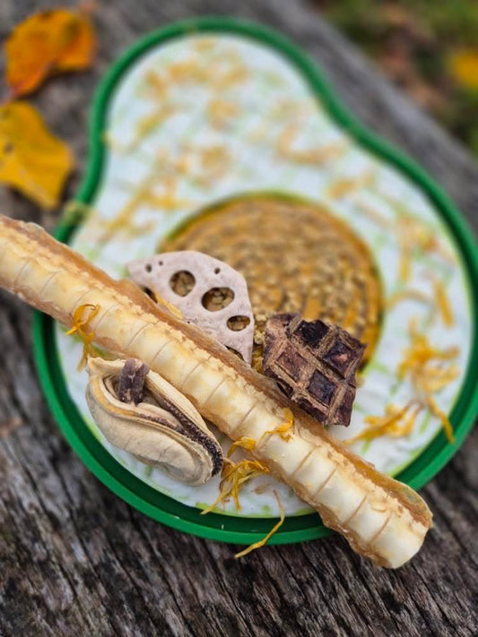 Shark Cartilage Dog Treat