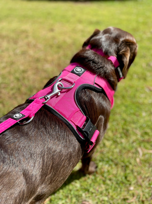 Comfort Premium Harness | Non Restrictive