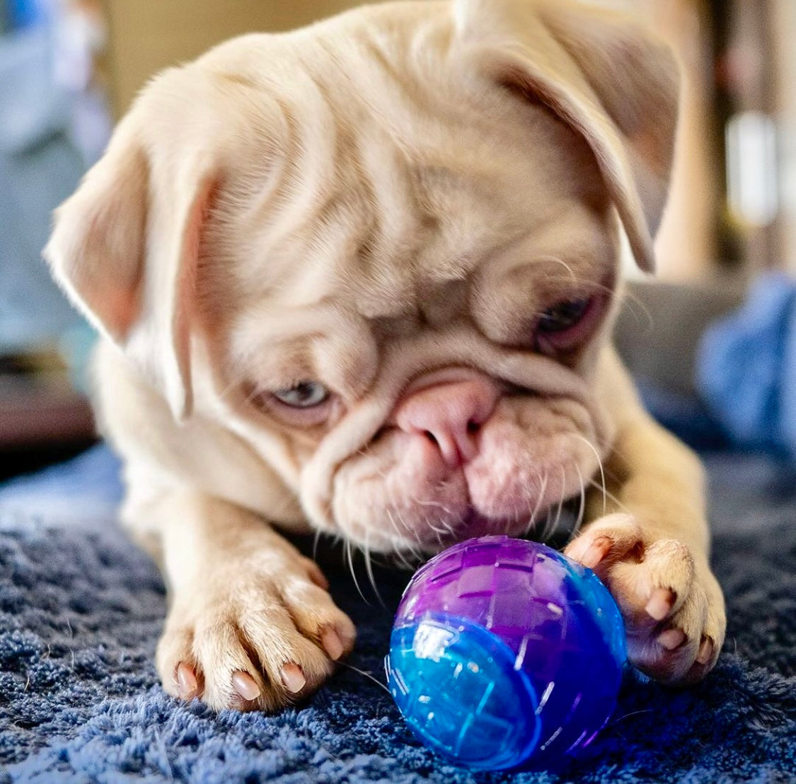 Classic Rubber Squeaky Ball