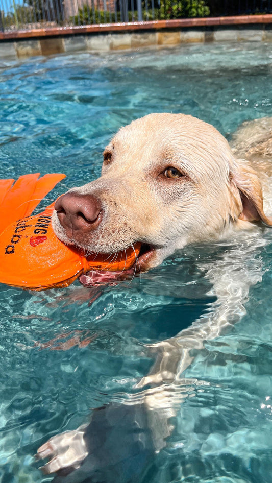 KONG® Wet Wubba™ Tug Dog Toy - Assorted Colours