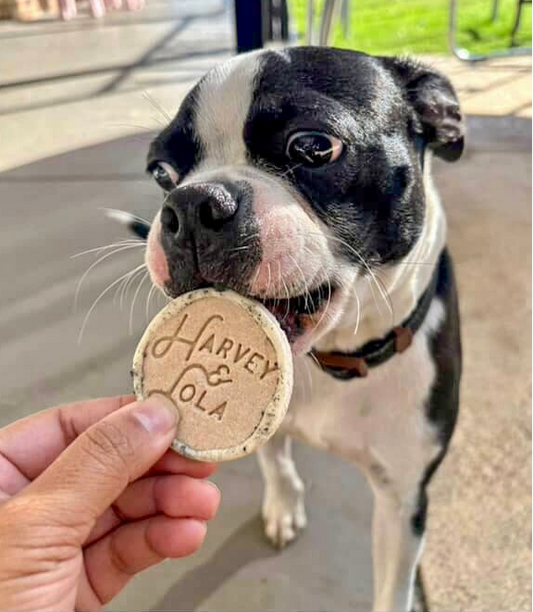 Harvey & Lola Cookie Dog Biscuit