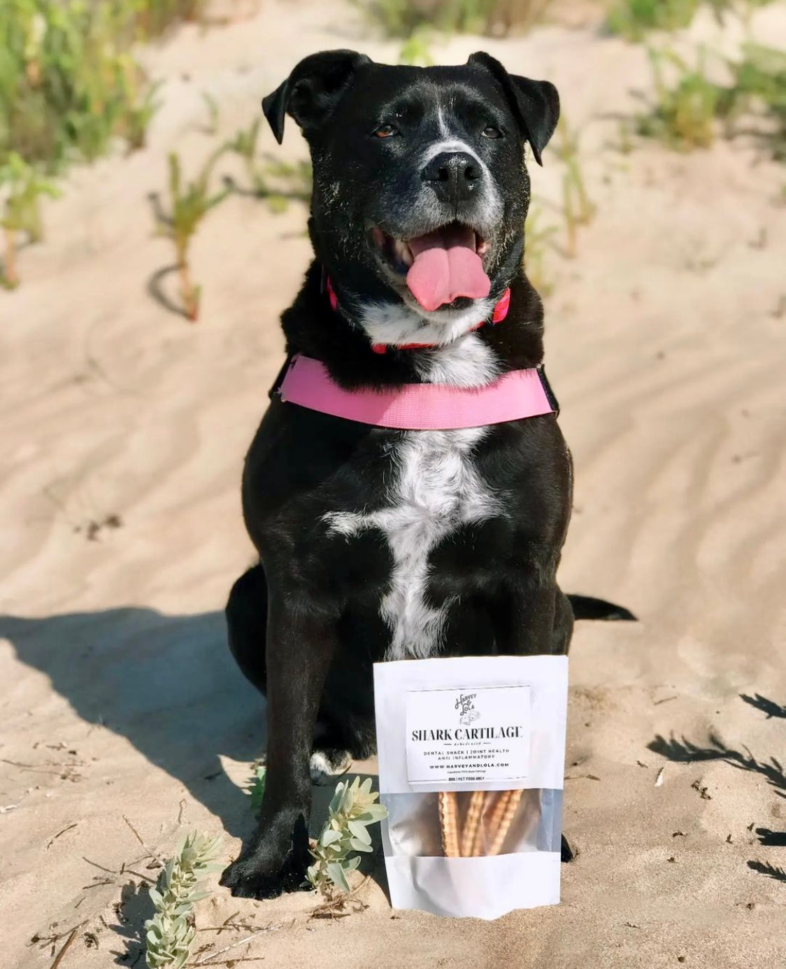 Shark Cartilage Dog Treat