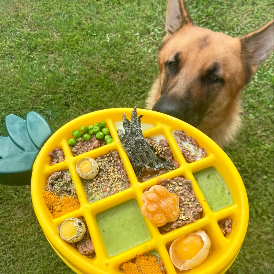Australian Bee Pollen Granules