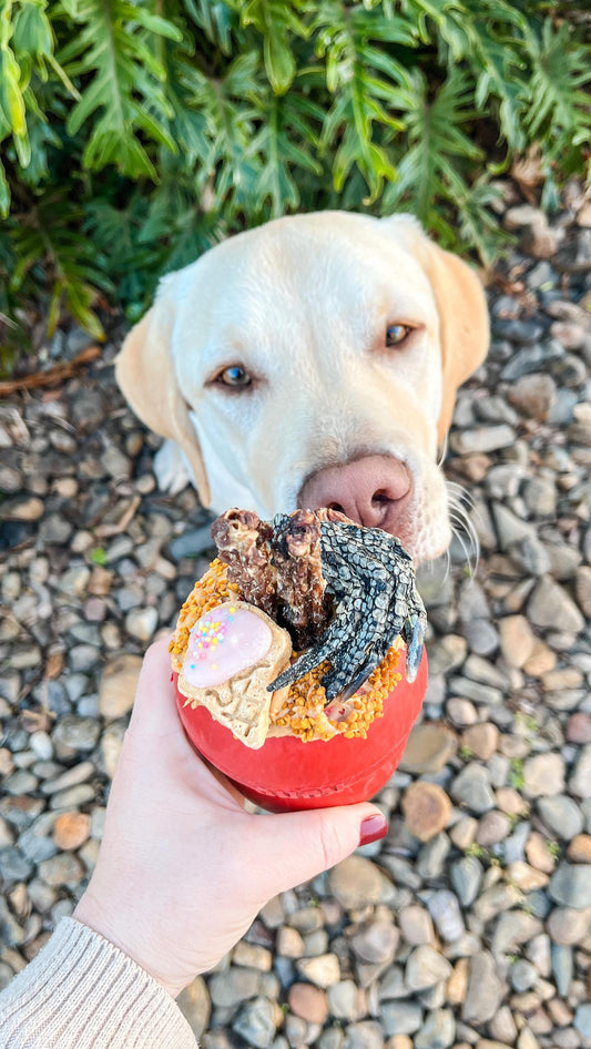 KONG® Classic Treat Dispensing Dog Toy