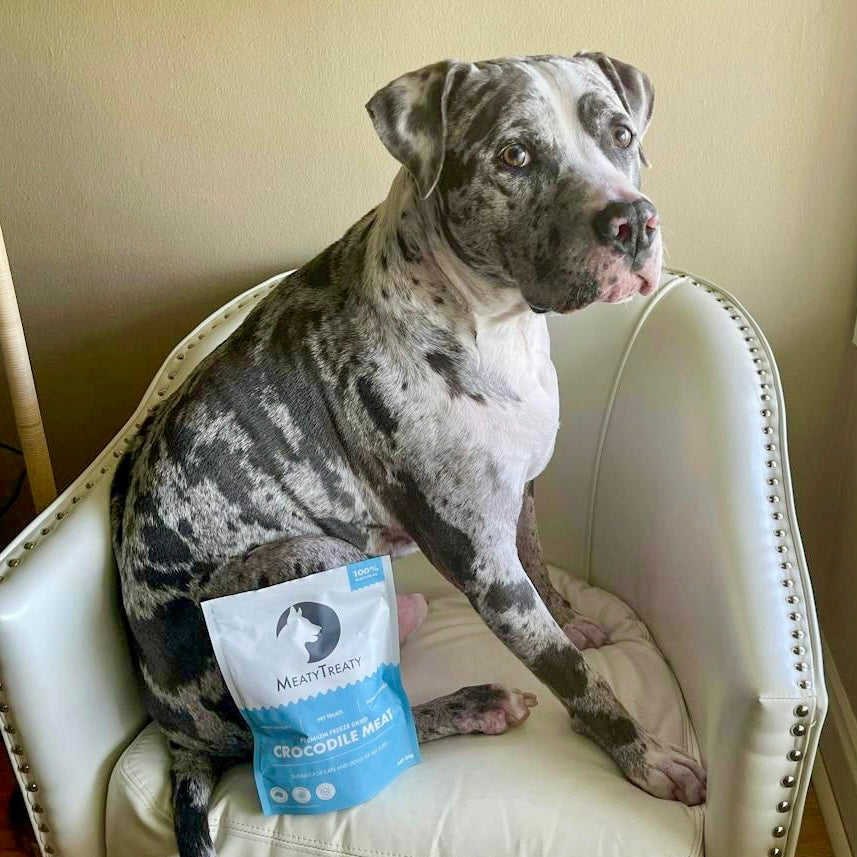 Crocodile Meat Freeze-Dried Dog Treats
