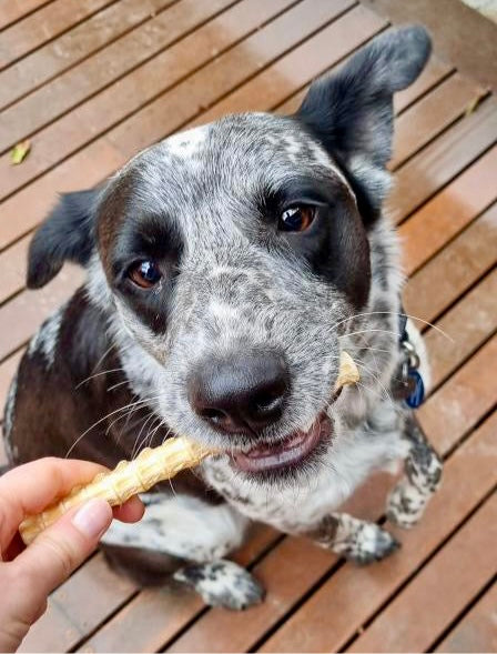 Shark Cartilage Dog Treat