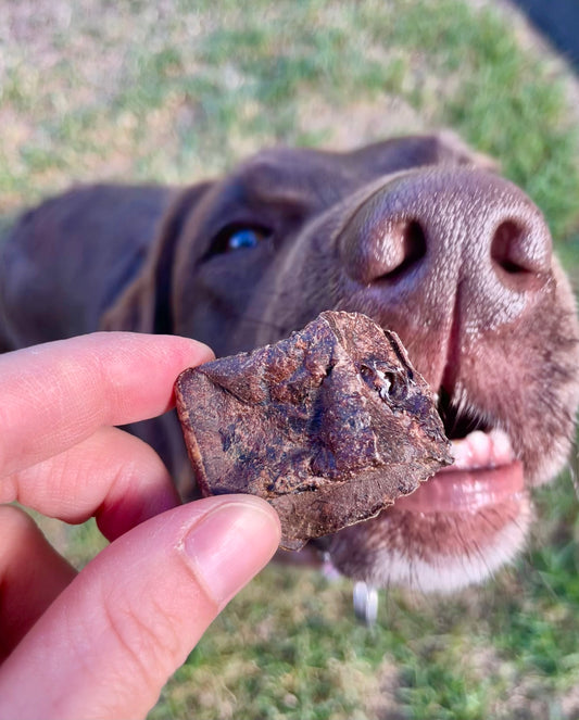 Beef Puffs Dog Treats