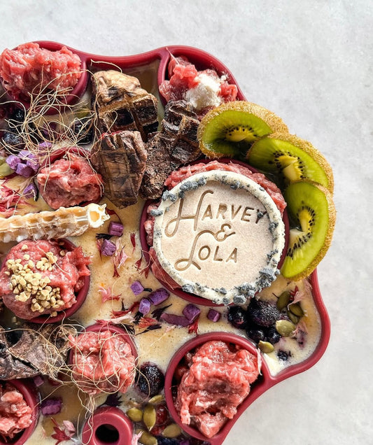 Cosmos 2-in-1 Bowl & Lick Mat