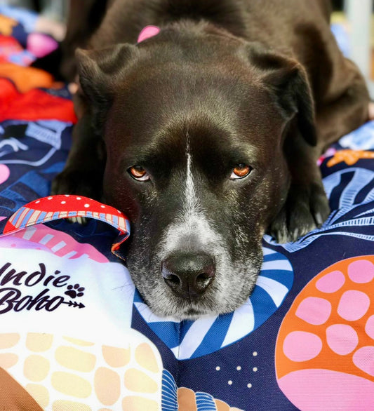 Daydream Shells Pet Travel & Training Mat