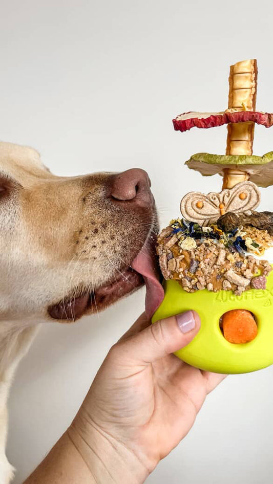 Toppl Slow Feeder Dog Bowl - Assorted Colours