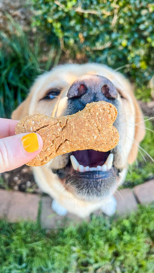 Peanut Butter Dog Bone Biscuits