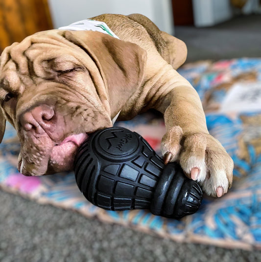 Bulb: Ultra-Durable Treat Dispensing Chew Toy For Dogs