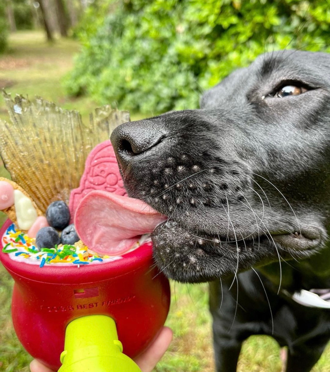 Toppl Slow Feeder Dog Bowl - Assorted Colours