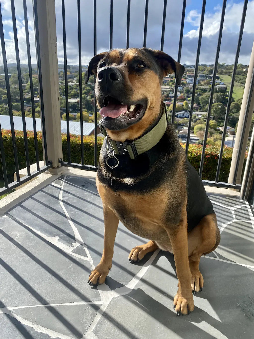 Khaki - 5cm Combat® Collar | With Handle & Rated Clip