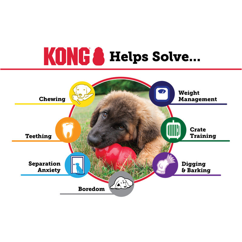 KONG® Classic Treat Dispensing Dog Toy