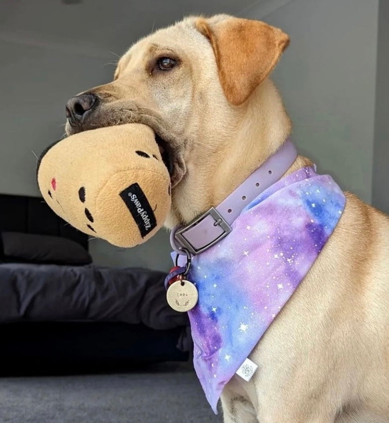 NomNomz Boba Milk Dog Toy