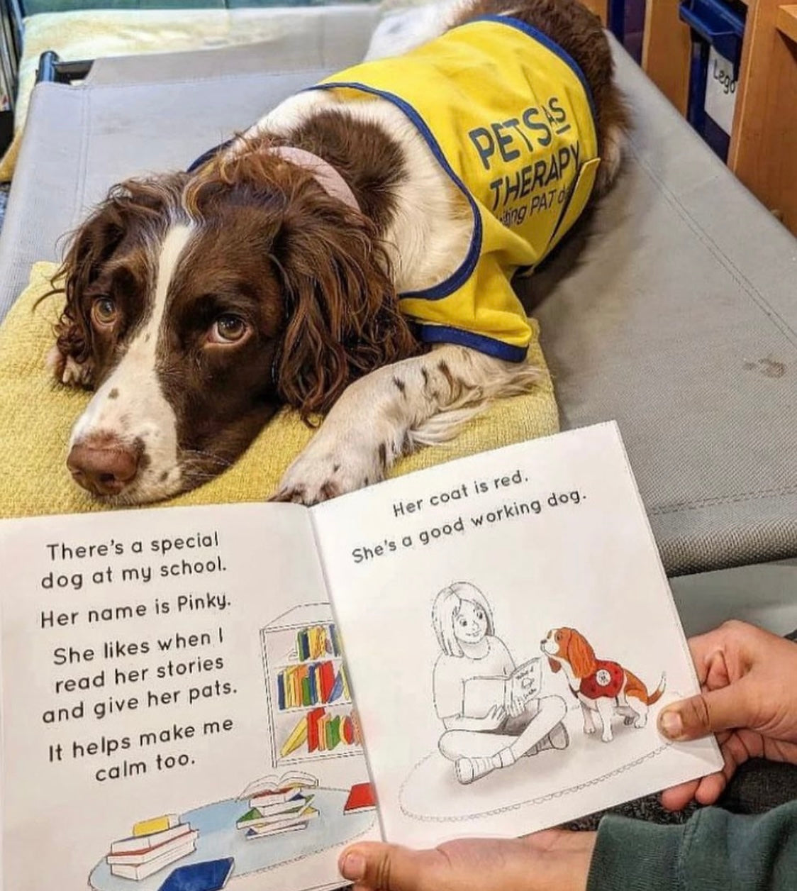 Dogs With Jobs Book
