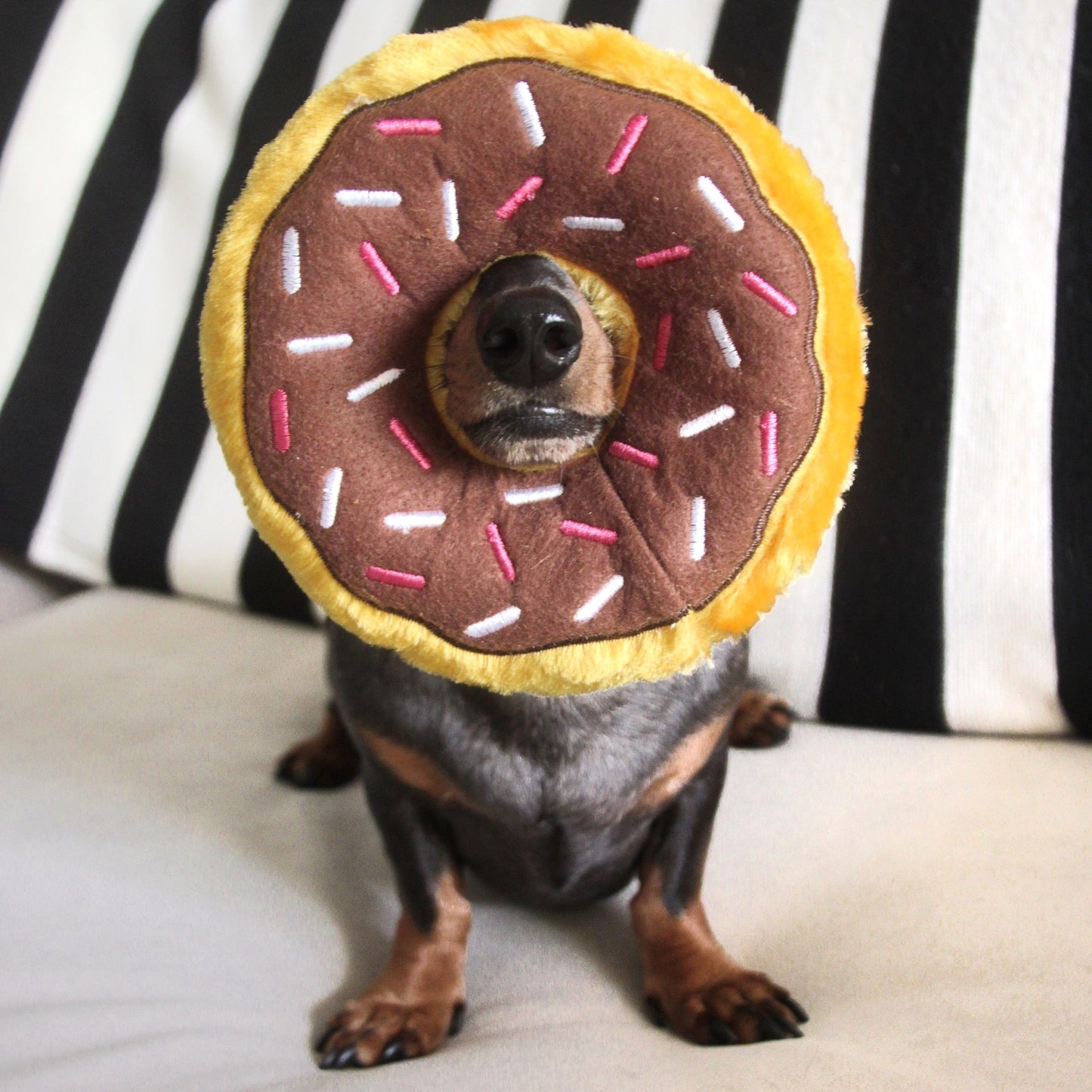 Donutz Dog Toys