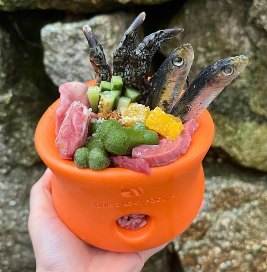 Toppl Slow Feeder Dog Bowl - Assorted Colours