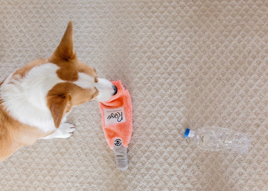 Happy Hour Crusherz Dog Toys