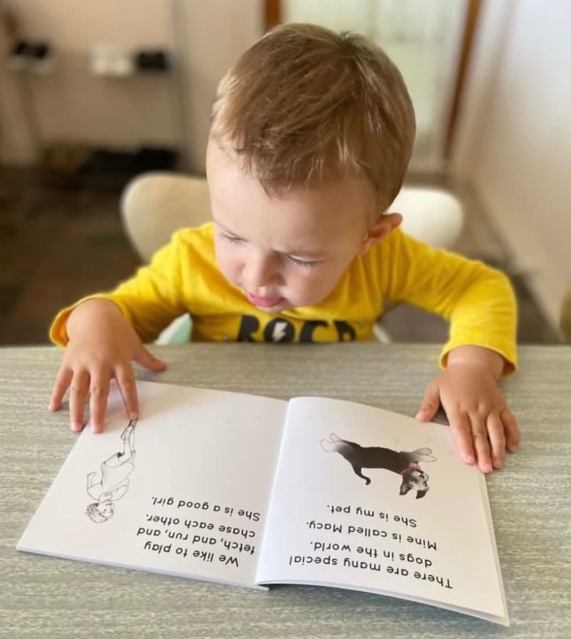 Dogs With Jobs Book