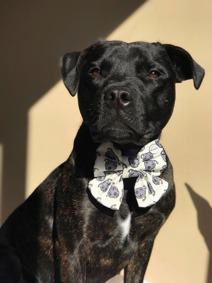 Dog Breeds Sailor Bow