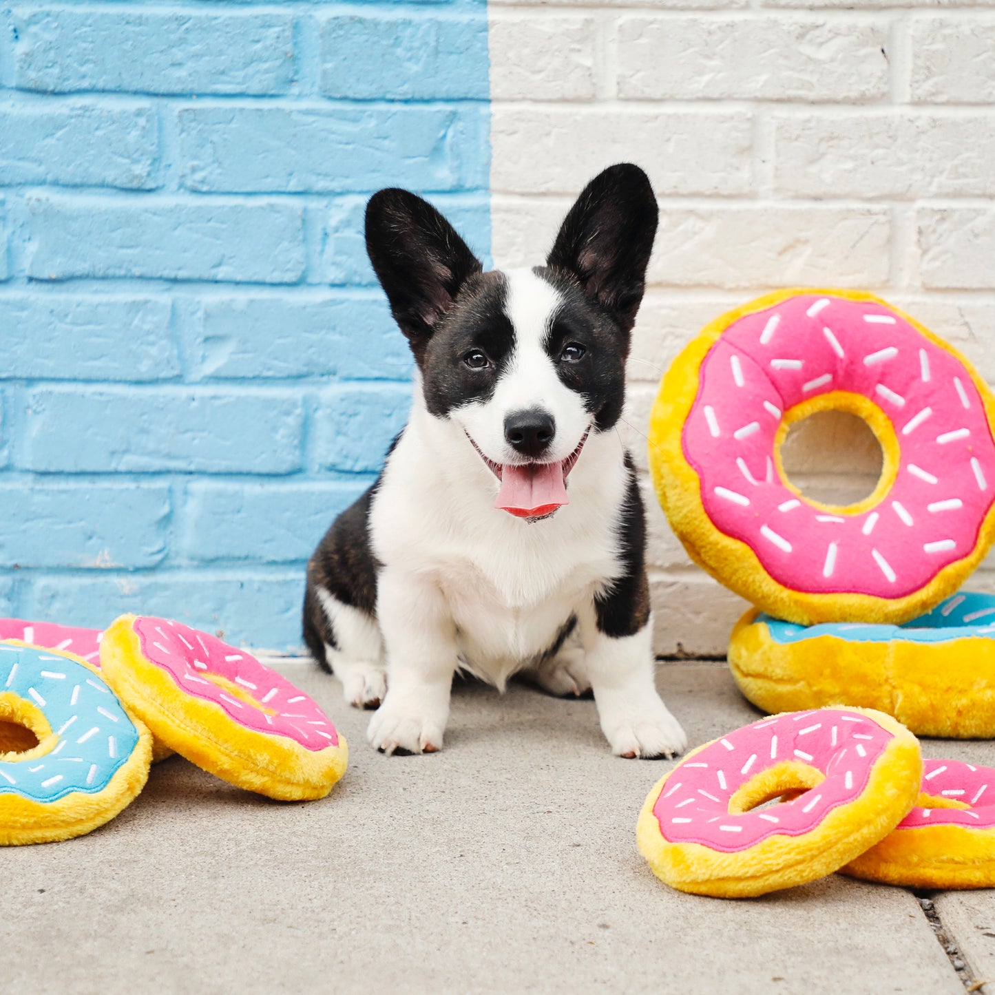Donutz Dog Toys