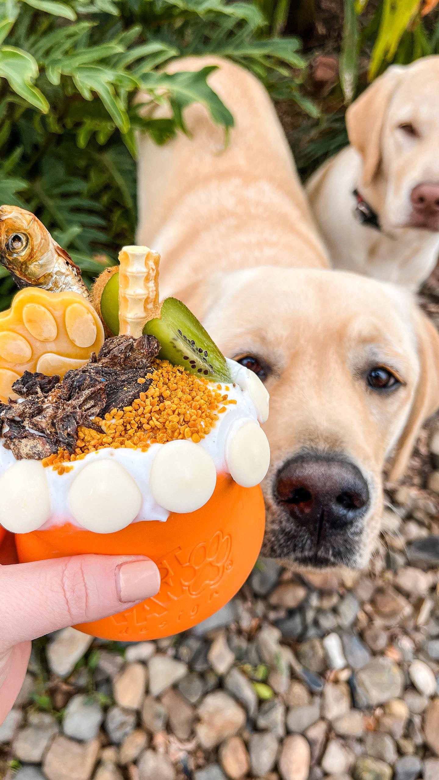 Toppl Slow Feeder Dog Bowl