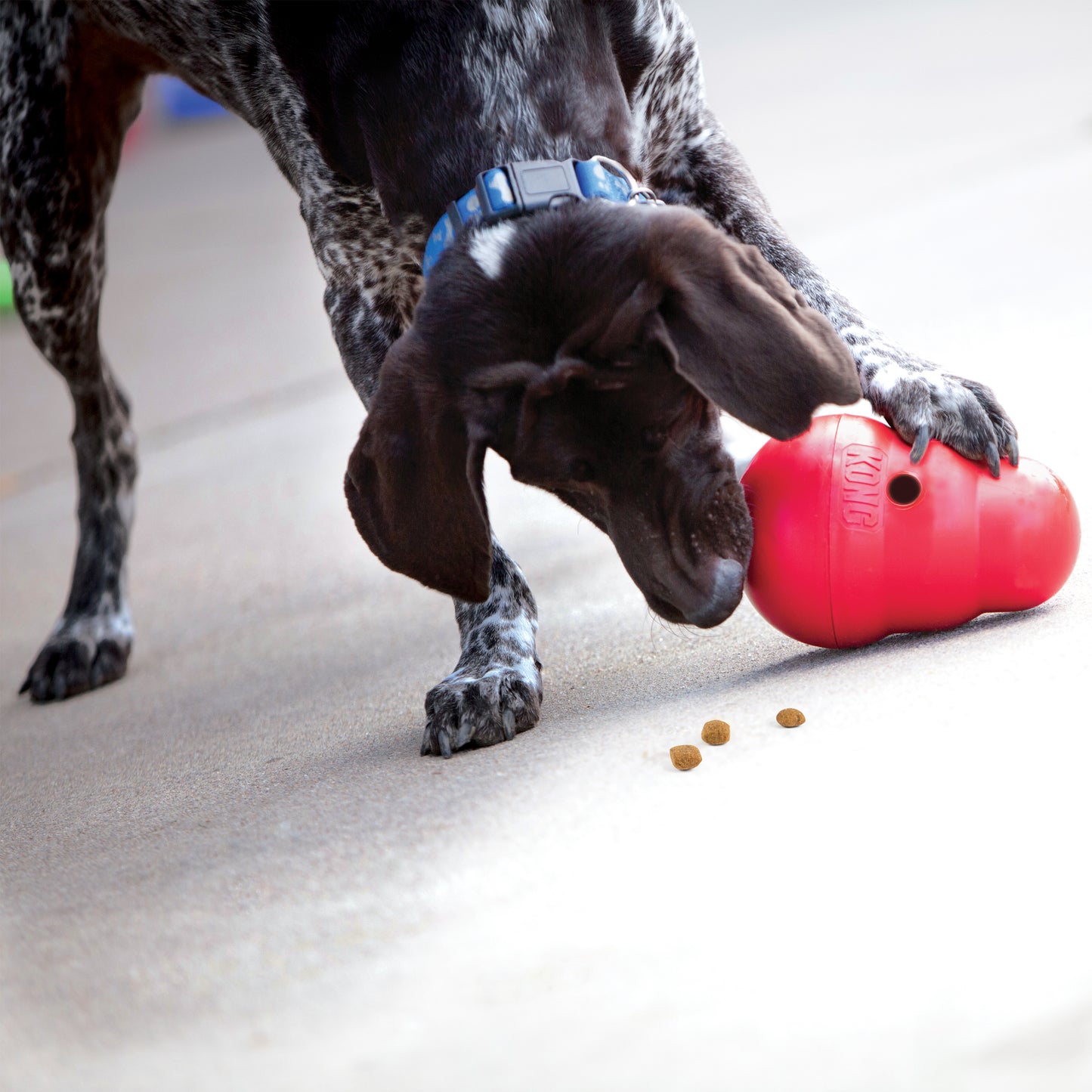 KONG® Wobbler® Mental Stimulating Slow Feeder