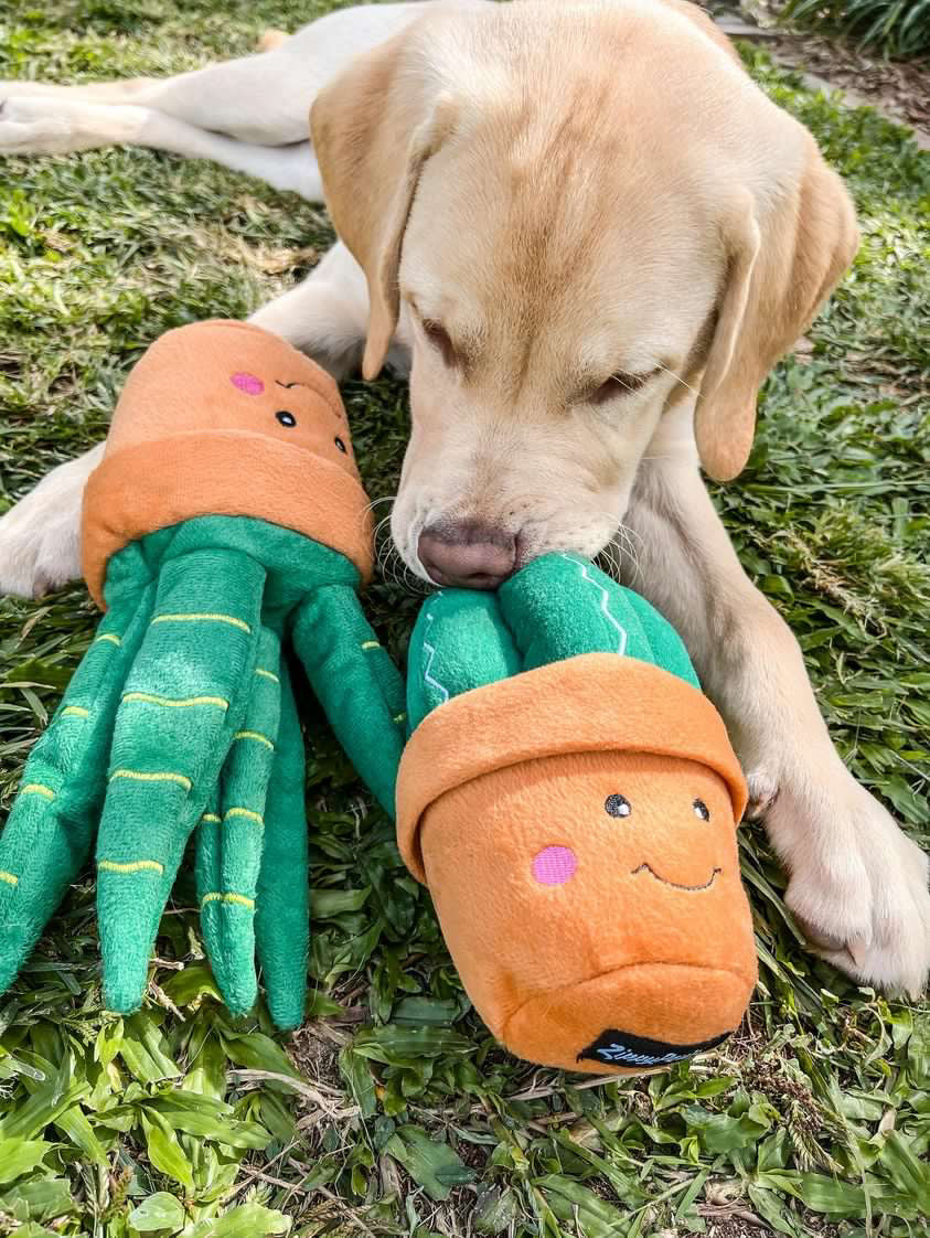 Succulent Plants Squeaker Dog Toys