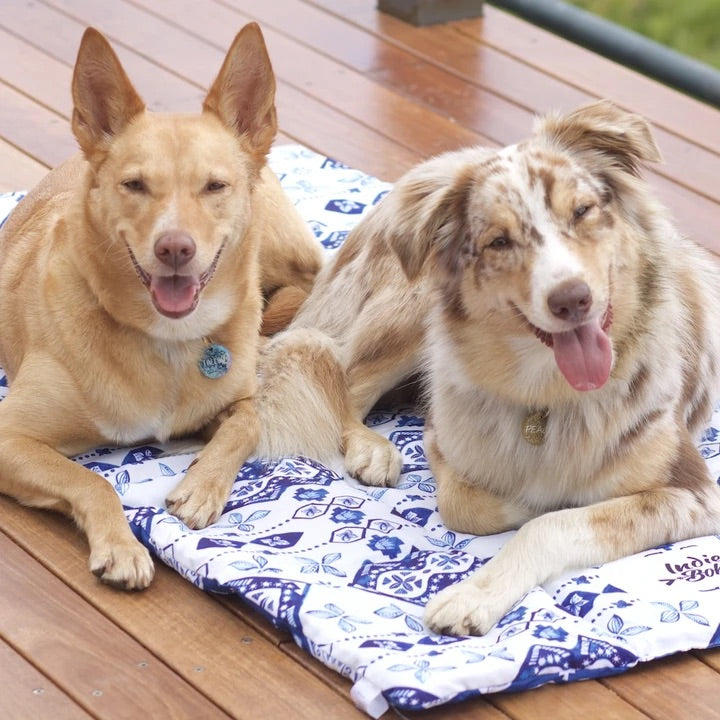 Noosa Nights Pet Travel Mat - Harvey & Lola