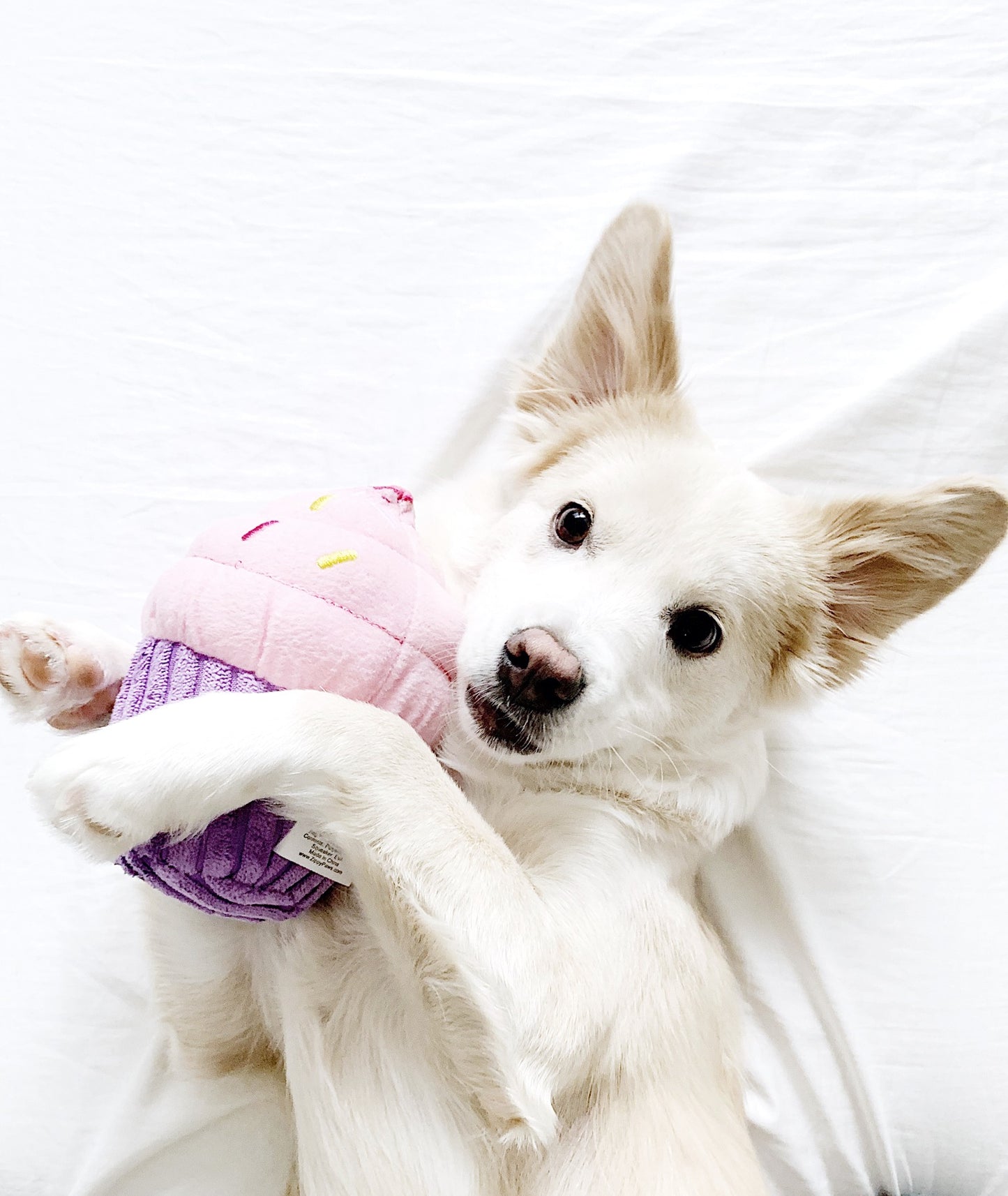 Cupcake Dog Toys