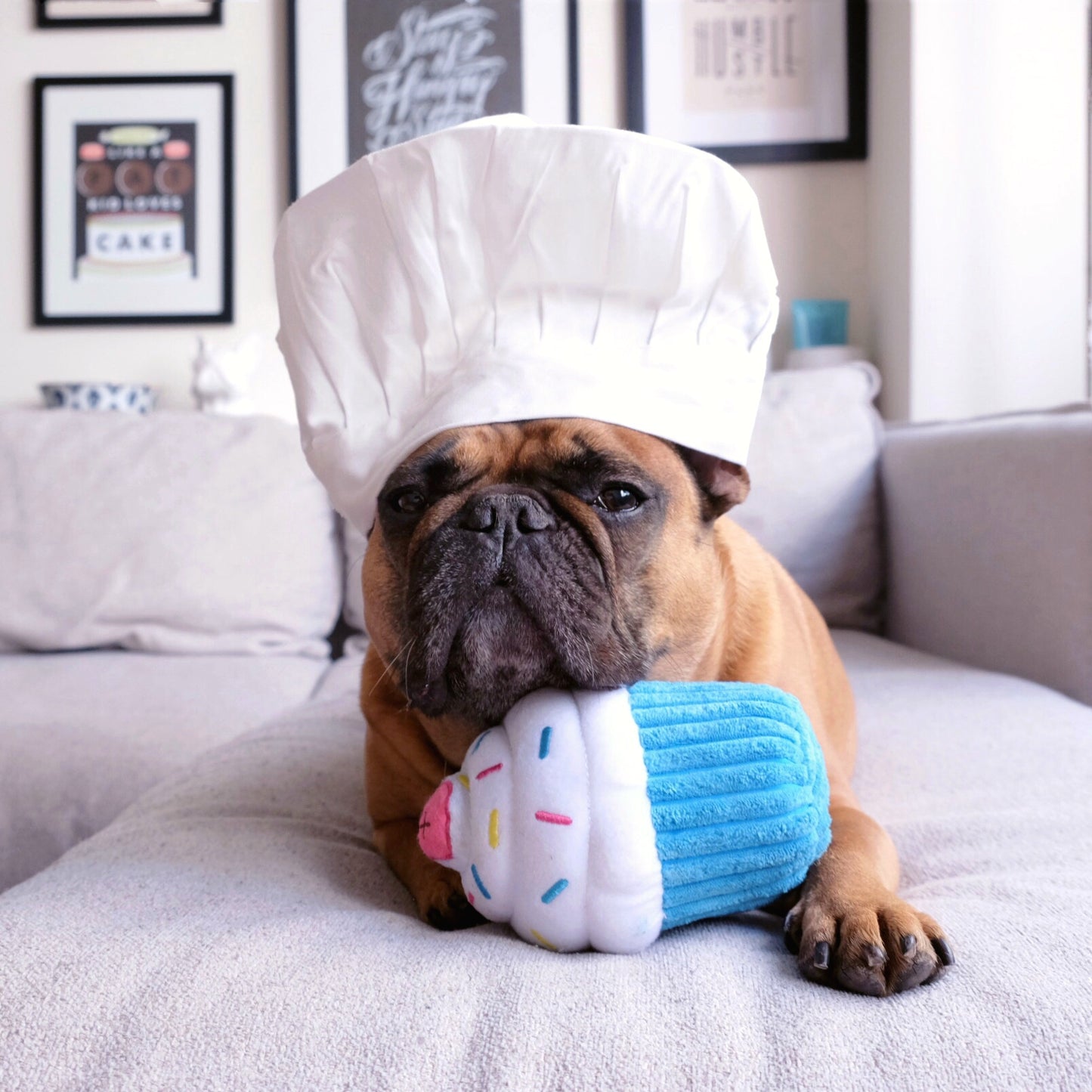 Cupcake Dog Toys