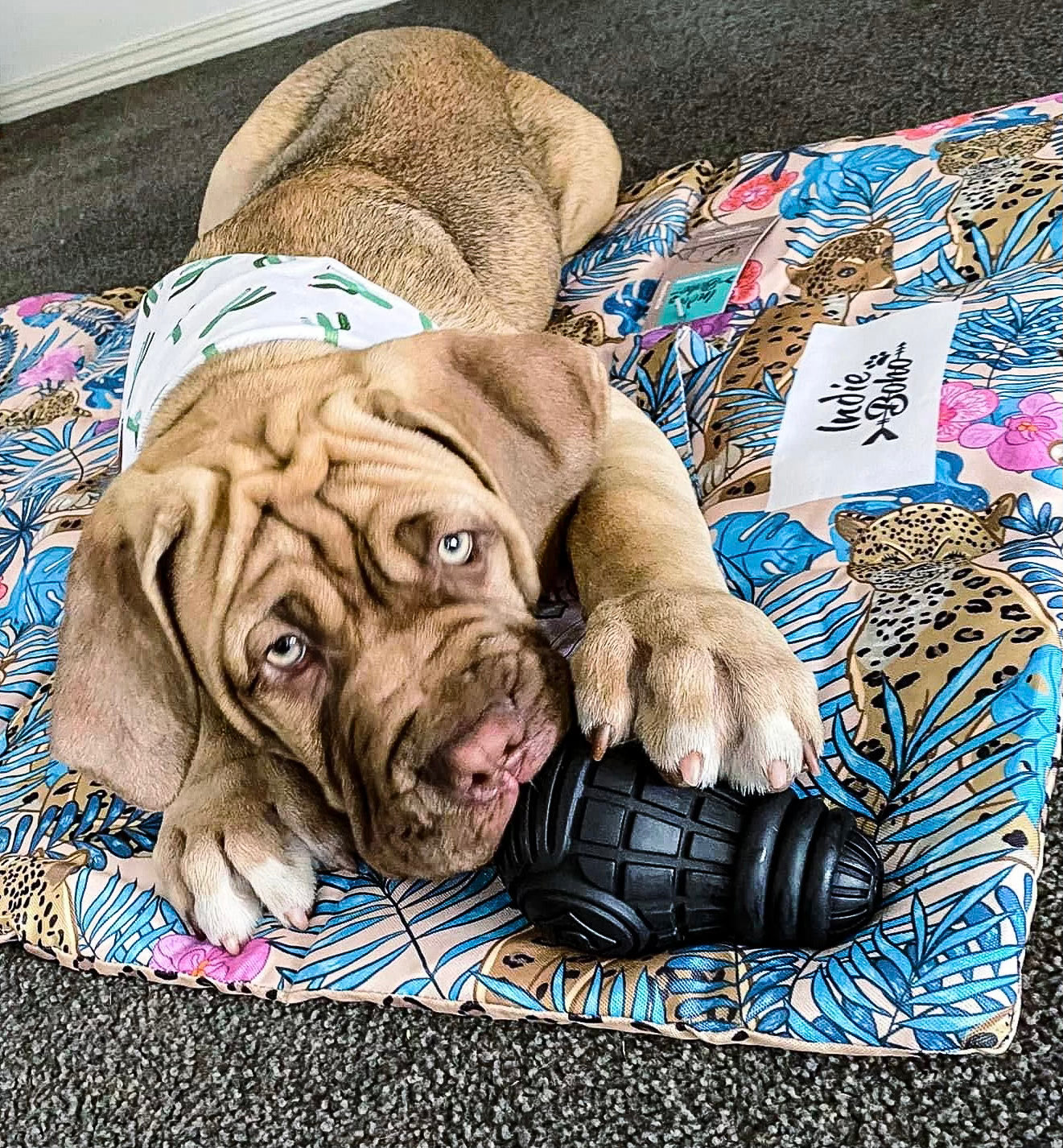 Leopard Luxe Dog Travel Mat - Harvey & Lola