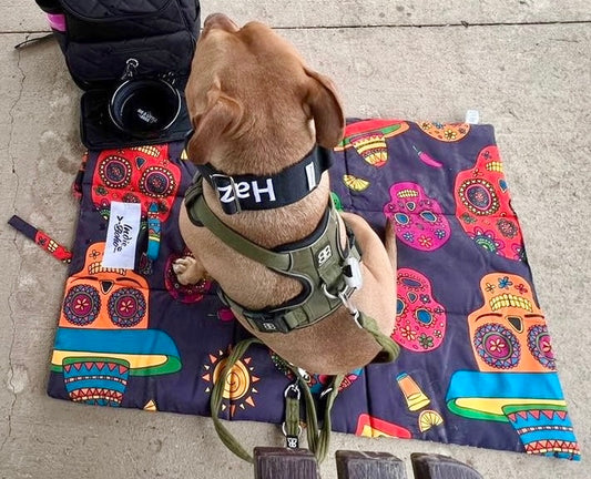 Mexican Skulls Travel Mat - Harvey & Lola