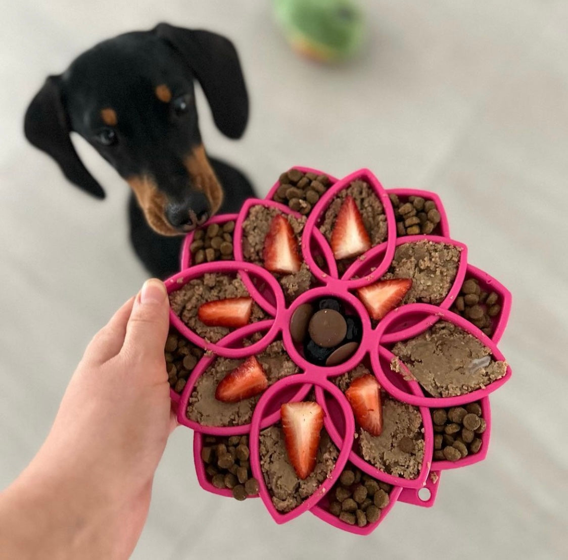 Mandala Slow Feeder eTray