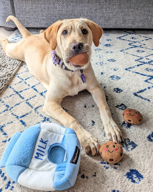 Milk & Cookies Interactive Burrow Dog Toy
