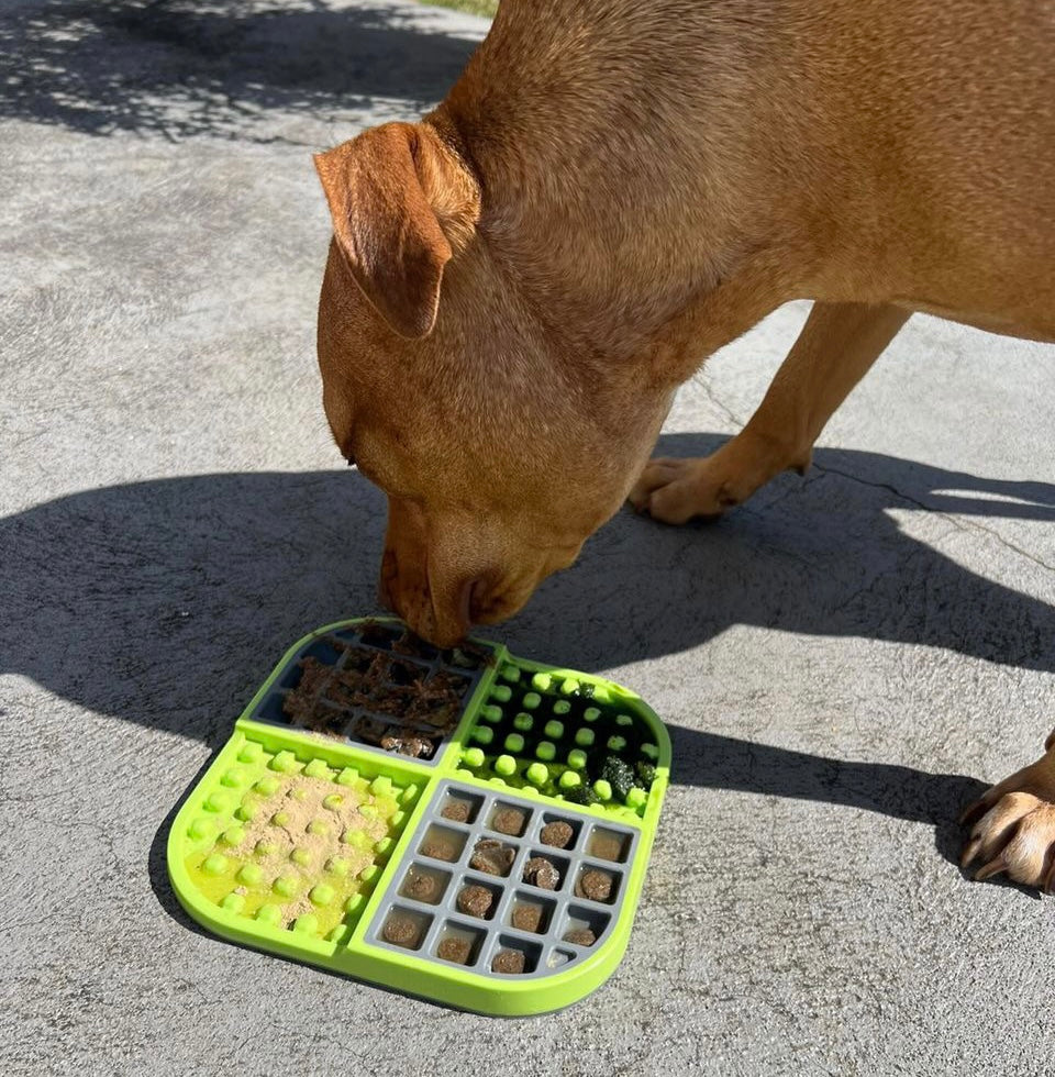 SloMo Wet & Dry Combo Slow Feeder Lick Mat
