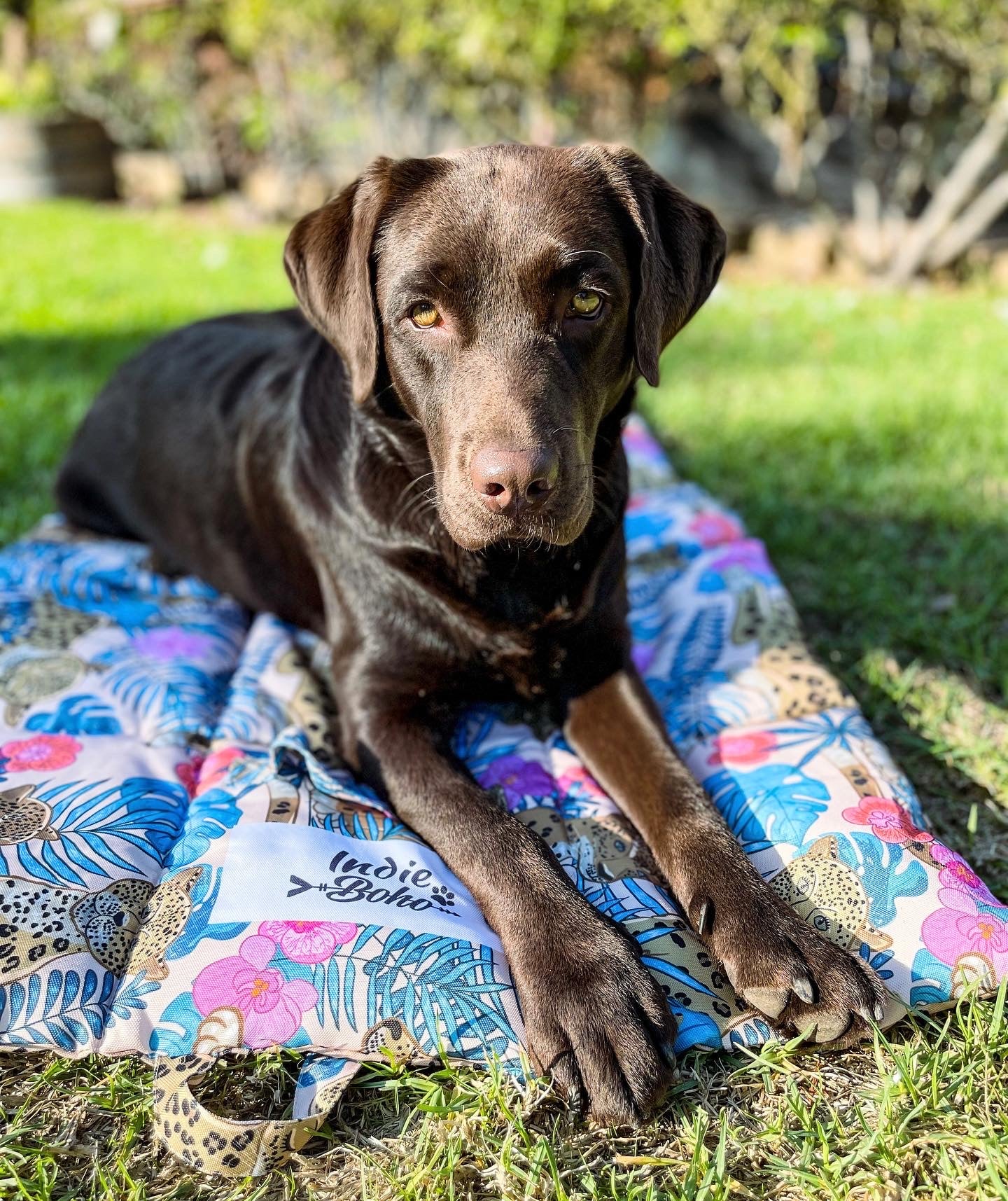 Leopard Luxe Dog Travel Mat - Harvey & Lola