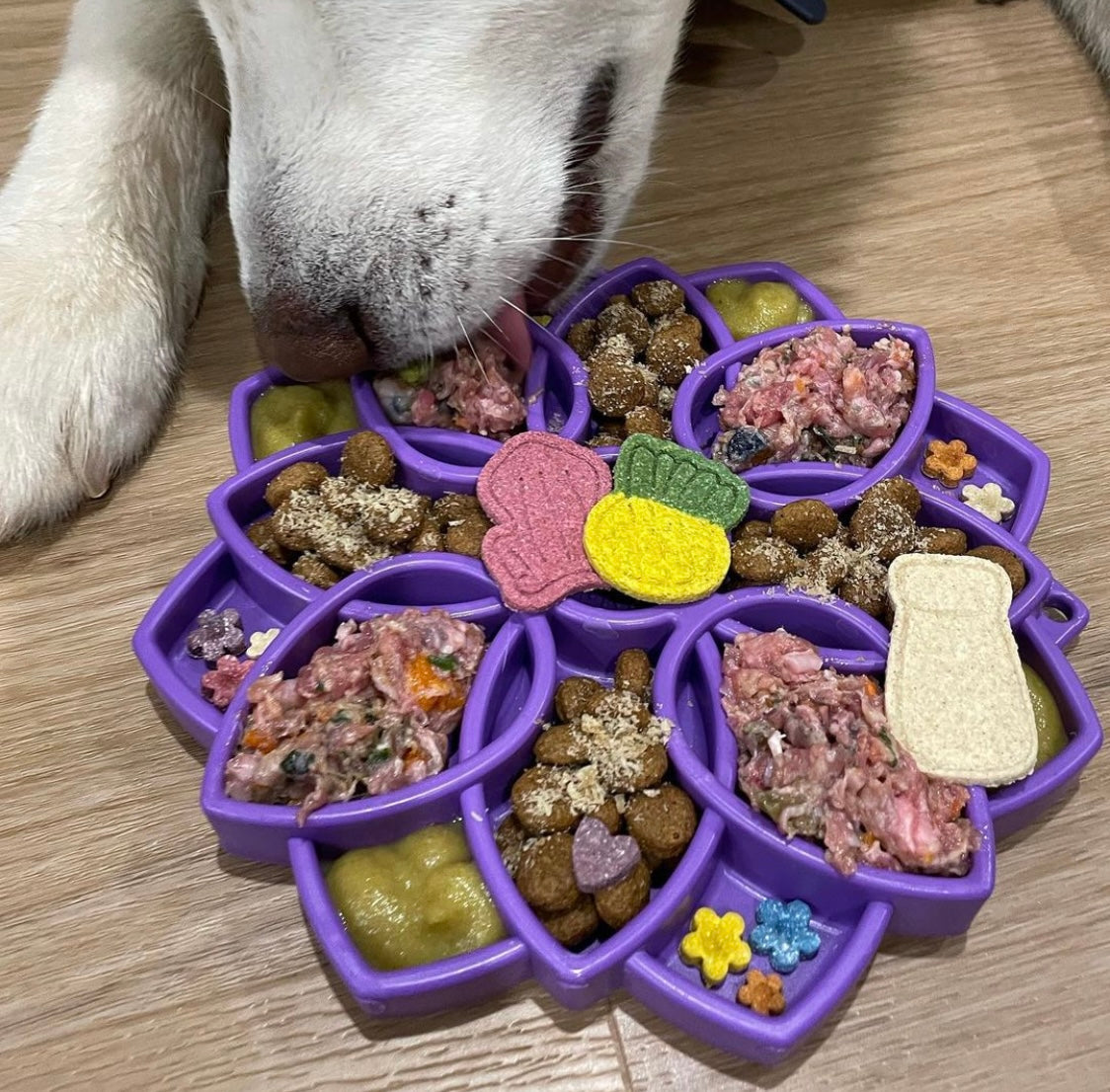 Mandala Slow Feeder eTray